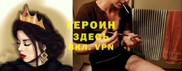 сатива Каменка