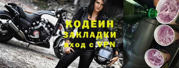 сатива Каменка