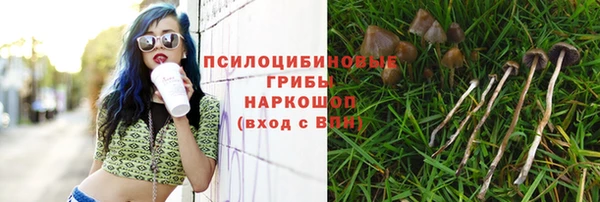 jwh Инта
