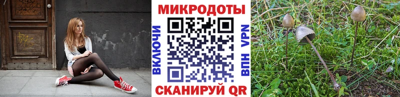 Псилоцибиновые грибы Psilocybe Купить закладки Ишим