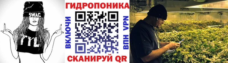 Бошки Шишки планчик  Купить закладки  Ишим 